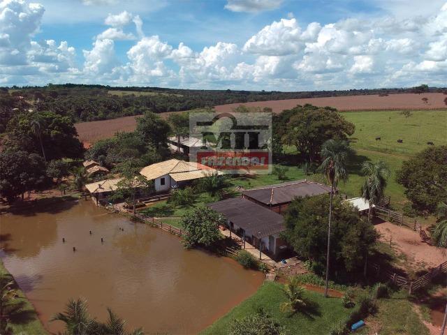 Venda ou Troca por Terra Maior,Chácara 8 alqueires e 25 litros - Bela Vista de Goiás - Foto 17