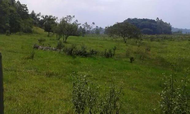 Belíssima fazenda em Cachoeiras de Macacu oportunidade!!!! - Foto 9