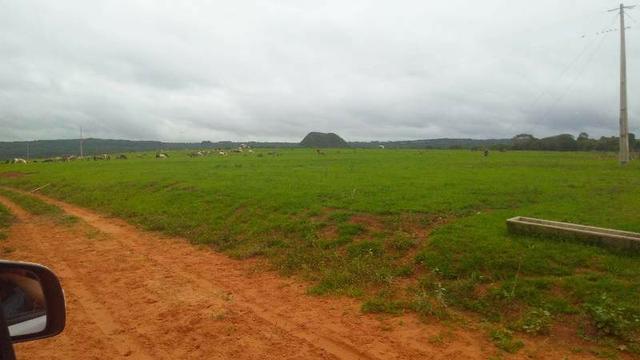 300 Alqs 200 Em Pasto Excelente Fazenda Paraúna GO - Foto 15
