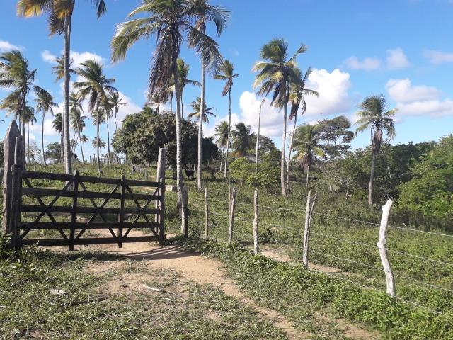Fazenda 150 tarefas em Conde