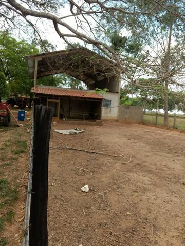 Fazenda de 216 alqueires 1.045,44 hectares- Miracema do Tocantins-TO - Foto 7