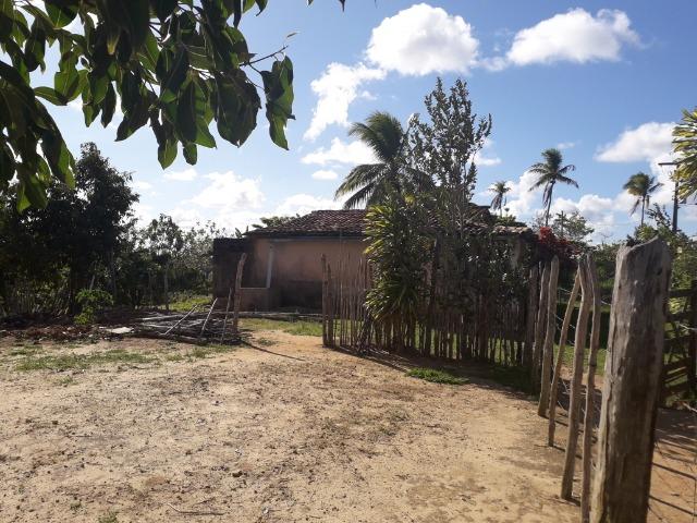 Fazenda 150 tarefas em Conde - Foto 13
