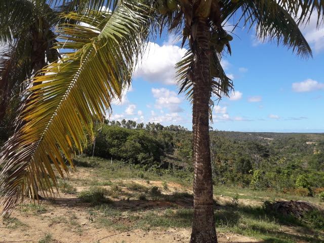 Fazenda 150 tarefas em Conde - Foto 10