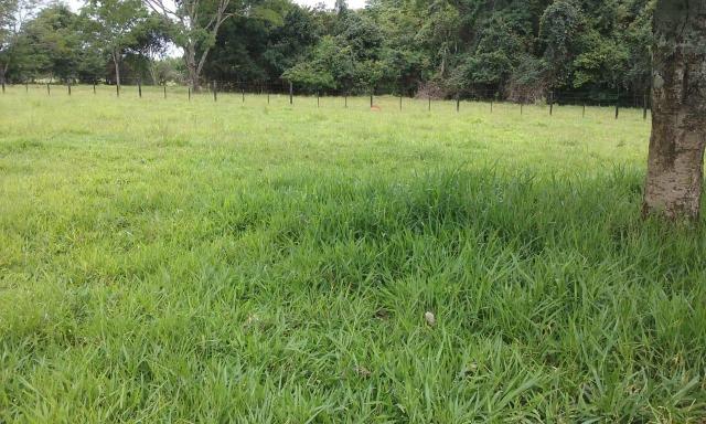 A fazenda do seu sonhos