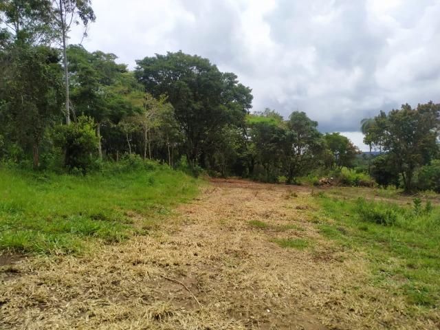 Chácara de 2000 mts água corrente e pagto facilitado - Foto 16