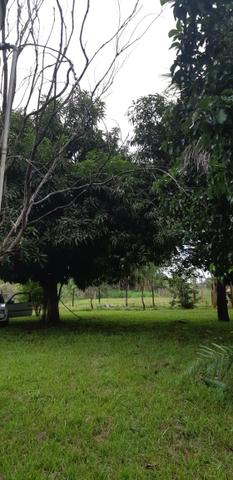 Chácara em Bonfinópolis - Foto 8