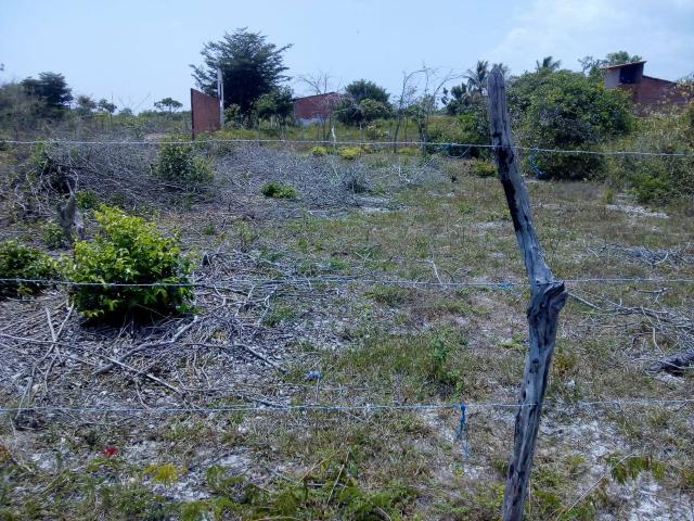 Vende-se terreno em Barreirinhas:MA - Foto 2