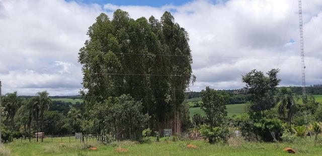 Chácara em Bonfinópolis