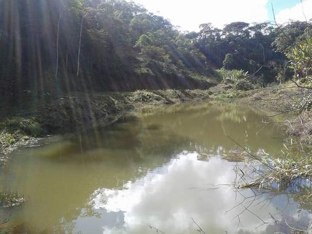 Sítio em Domingo martins - Foto 2