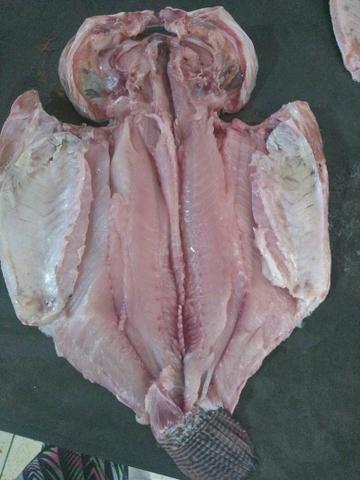 Peixe promoção