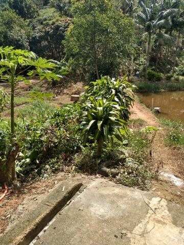 Vendo ou troca sítio santa Maria Jetibá - Foto 19