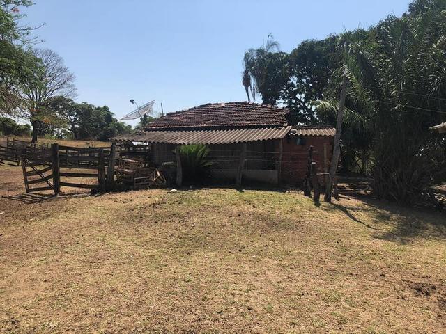 Fazenda a venda em Piracanjuba de 20 alqueires para Pecuária e lavoura - Foto 8