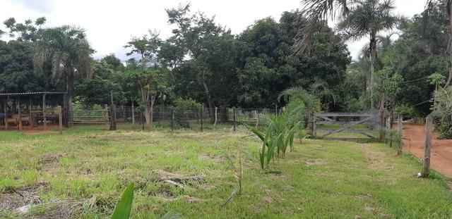Chácara em Bonfinópolis - Foto 4
