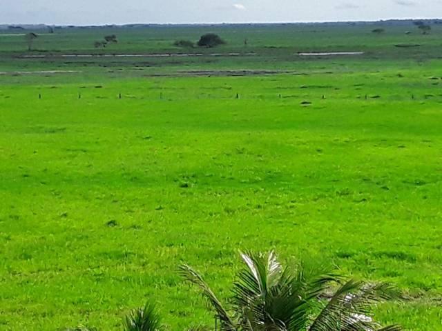 Fazenda 180 alqueires Linhares - Foto 3