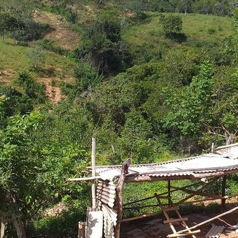 Venda ou troca Fazenda 70hectares - Foto 2
