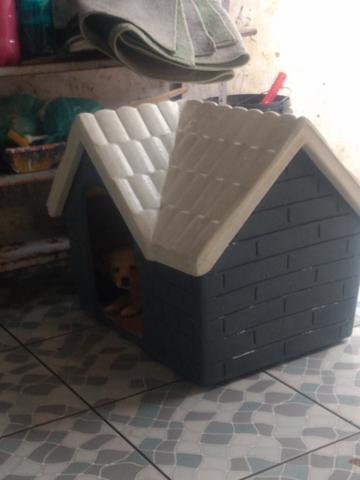 Casinha de cachorro - Foto 2