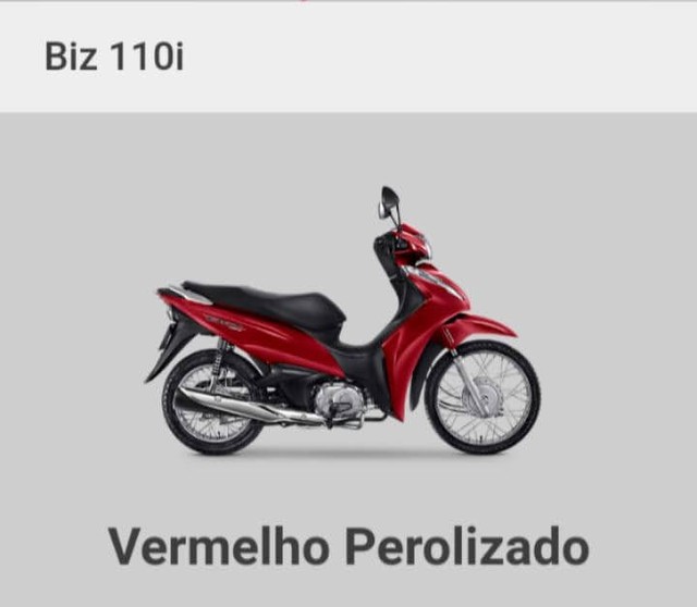 BIZ 110 I CC ANO 2021