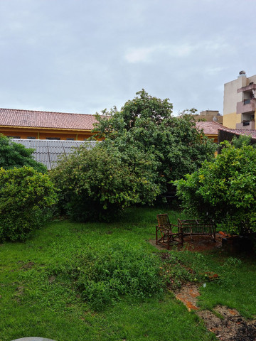 Terreno jardim Cristal  - Foto 3