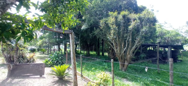 Chácara ou indústria 300 metros asfalto, taquara RS S  - Foto 2
