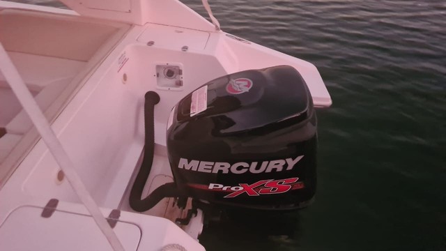 Lancha Magnun 29pes, ano 2014, Motor Mercury 225HP ProXS, 11 lugares - Foto 2
