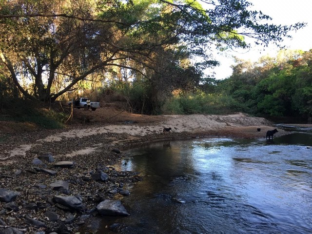Chacara na beira do rio Padre Souza - Foto 3