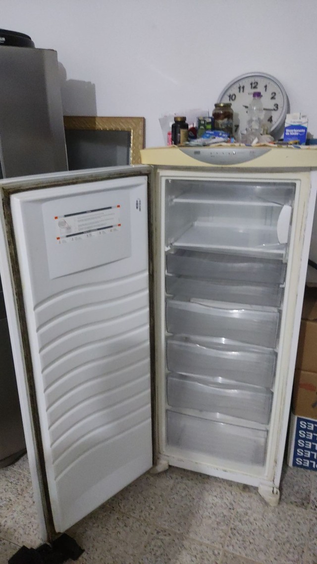 Freezer vertical frost free +303 anúncios na OLX Brasil