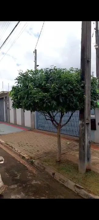 Jardinagem e podas  - Foto 2