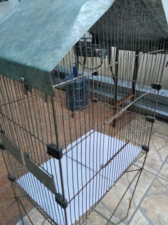 Gaiola para calopsita - Foto 2