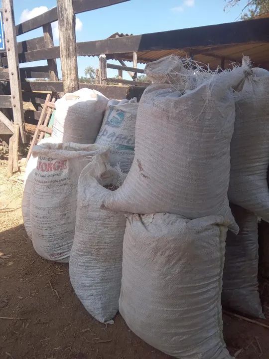 Esterco de gado  - Foto 2