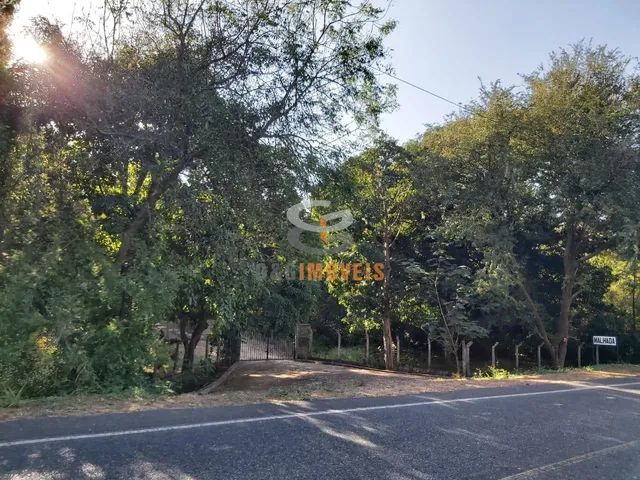EXCELENTE SITIO A VENDA. - Foto 3