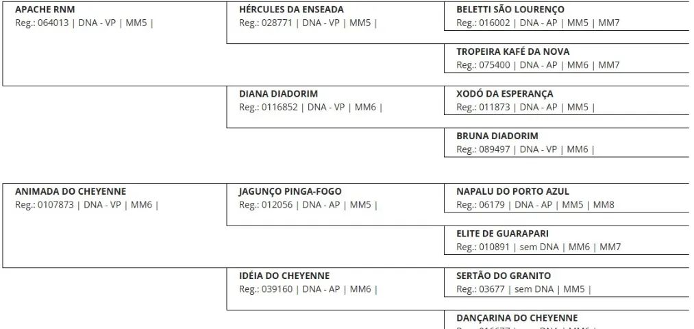 Potro Manga Larga registrado - Foto 2