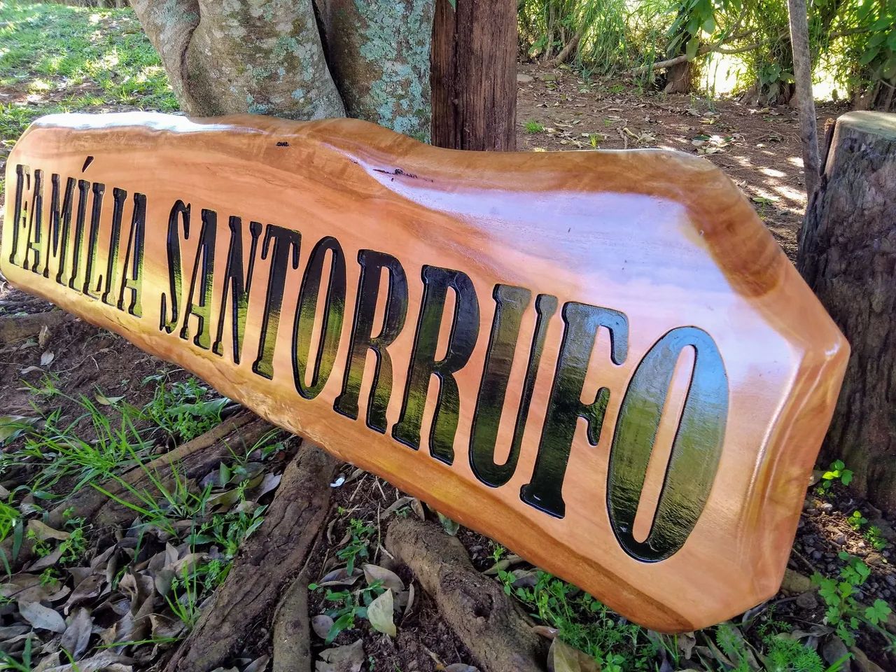 Placas personalizadas!!!64288877998979121