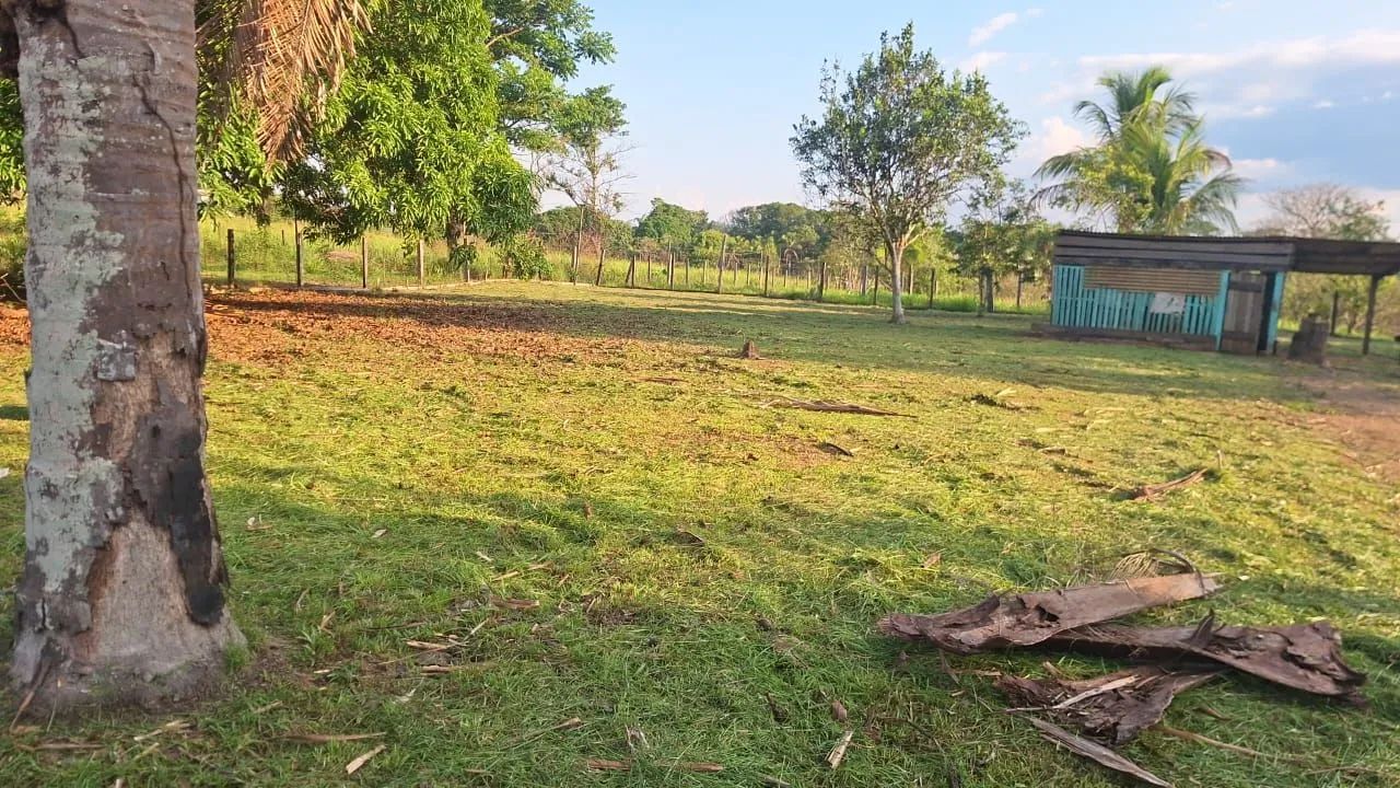 Serviço Gerais - Foto 2