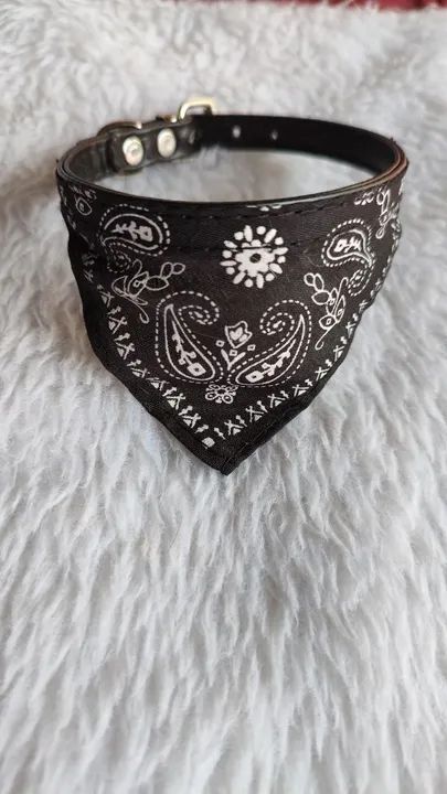 COLEIRA BANDANA