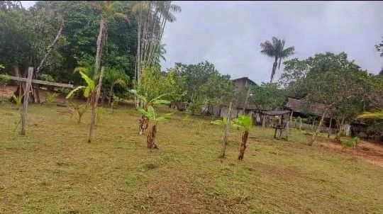 Sítio com casa e área verde em local tranquilo - Foto 4