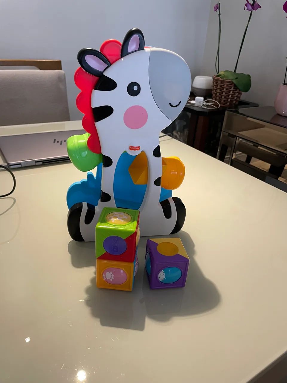 Zebra fisher price com blocos 