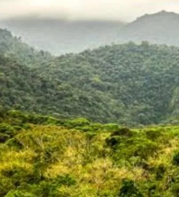 Área de Reserva Formosa GO