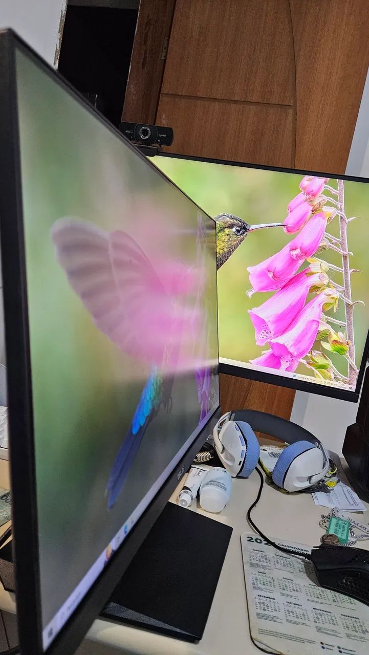 Monitor ASUS IPS 24 polegadas Impecável - Imagem Incrível!417561943202877441