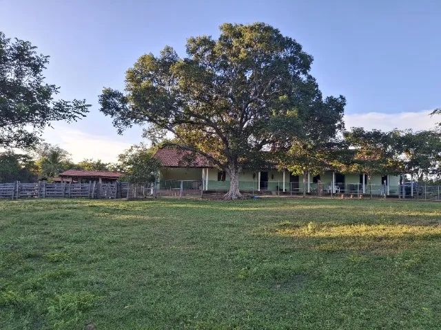 Fazenda a Venda - Foto 2