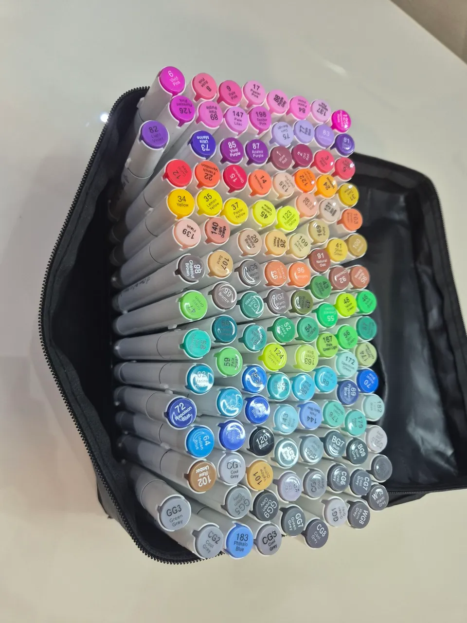 Canetinhas - Chein Rui (120 cores)