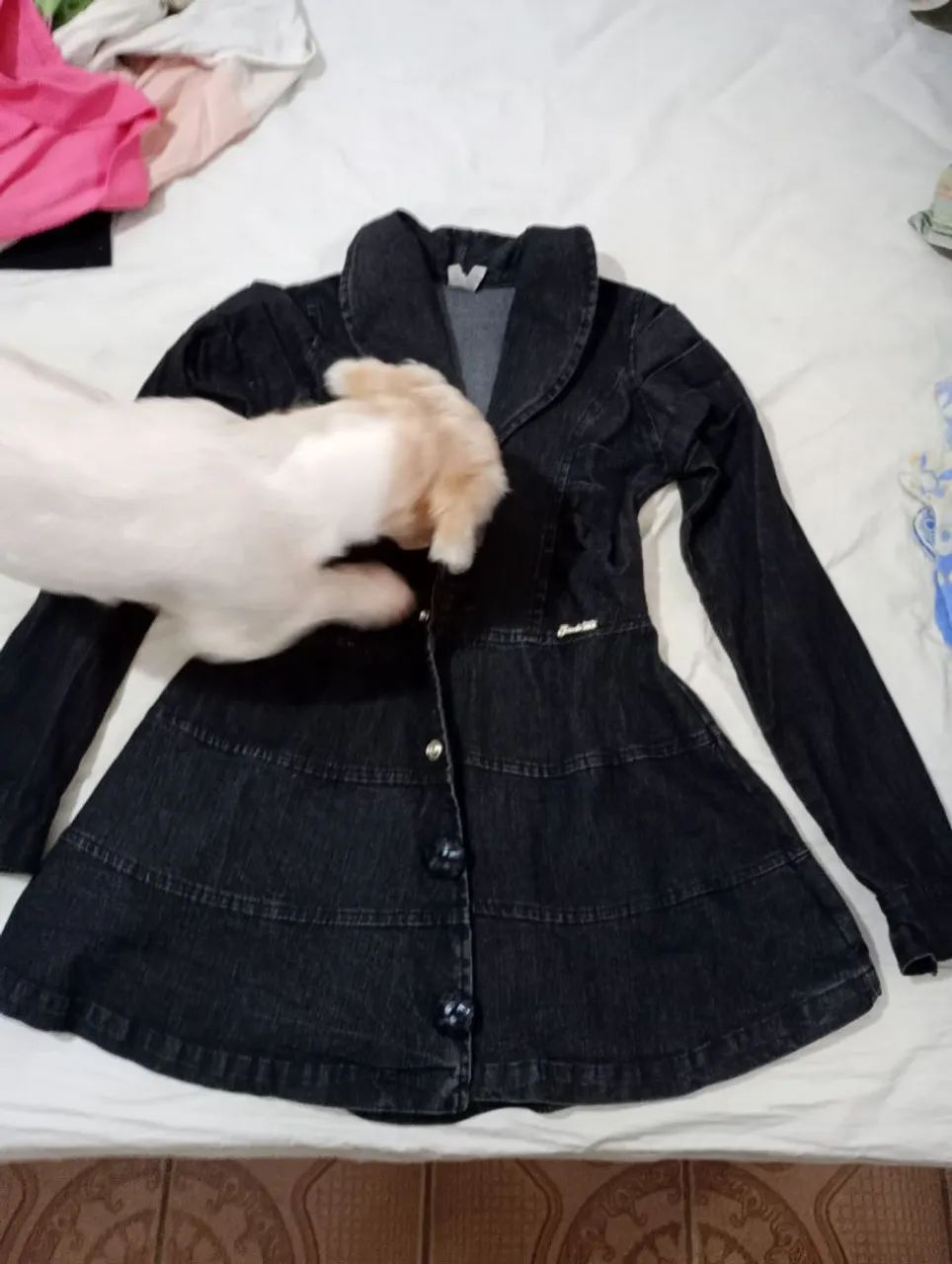 Moda e beleza 