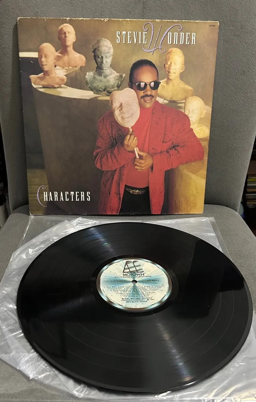 Vinil Steve Wonder Characters