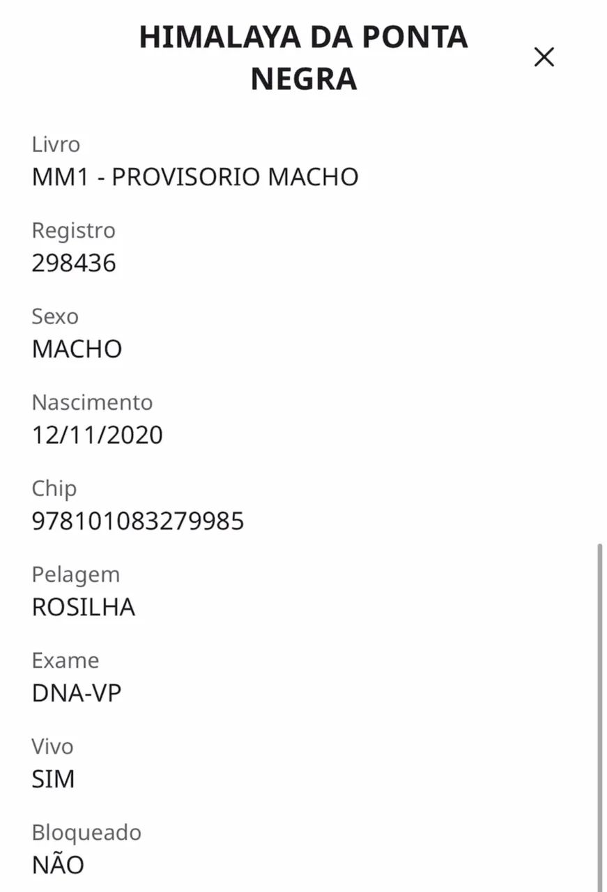 Cavalo rosilho  - Foto 3