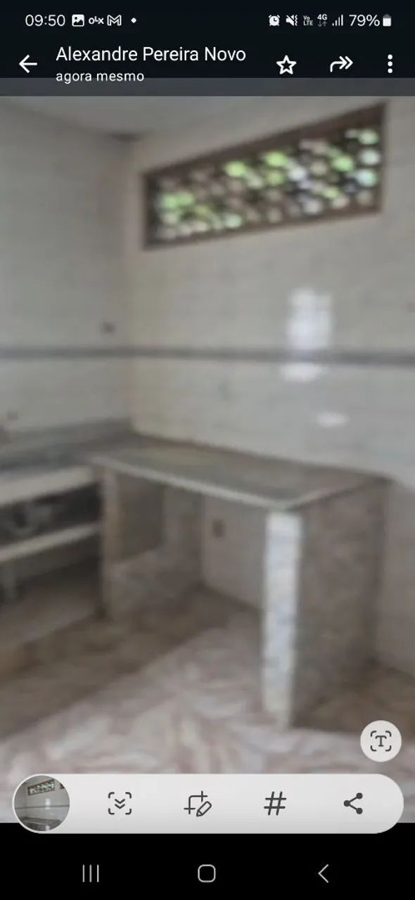 ?Sítio com piscina, loja e área de plantio - oportunidade única!?<br> - Foto 12