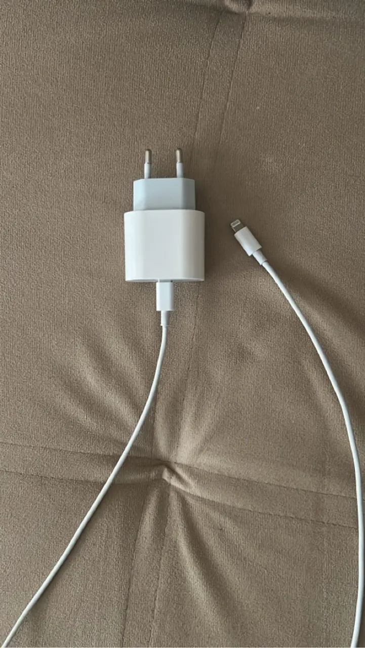Carregador Apple iPhone com Cabo Lightning