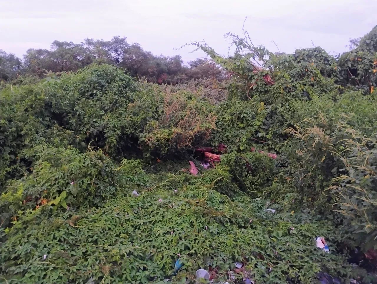 Terreno 5x30 jardim rio branco 20 mil mais aceito oferta