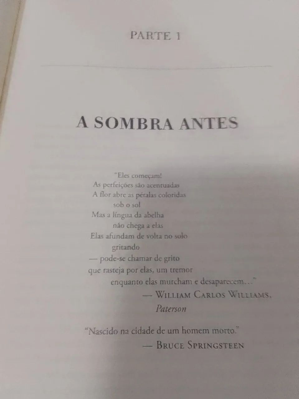 Livro Tema It a Coisa. - Foto 5