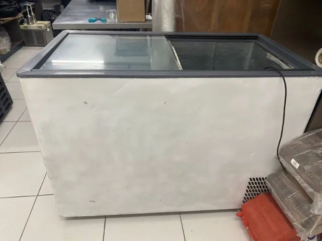 Freezer 220V