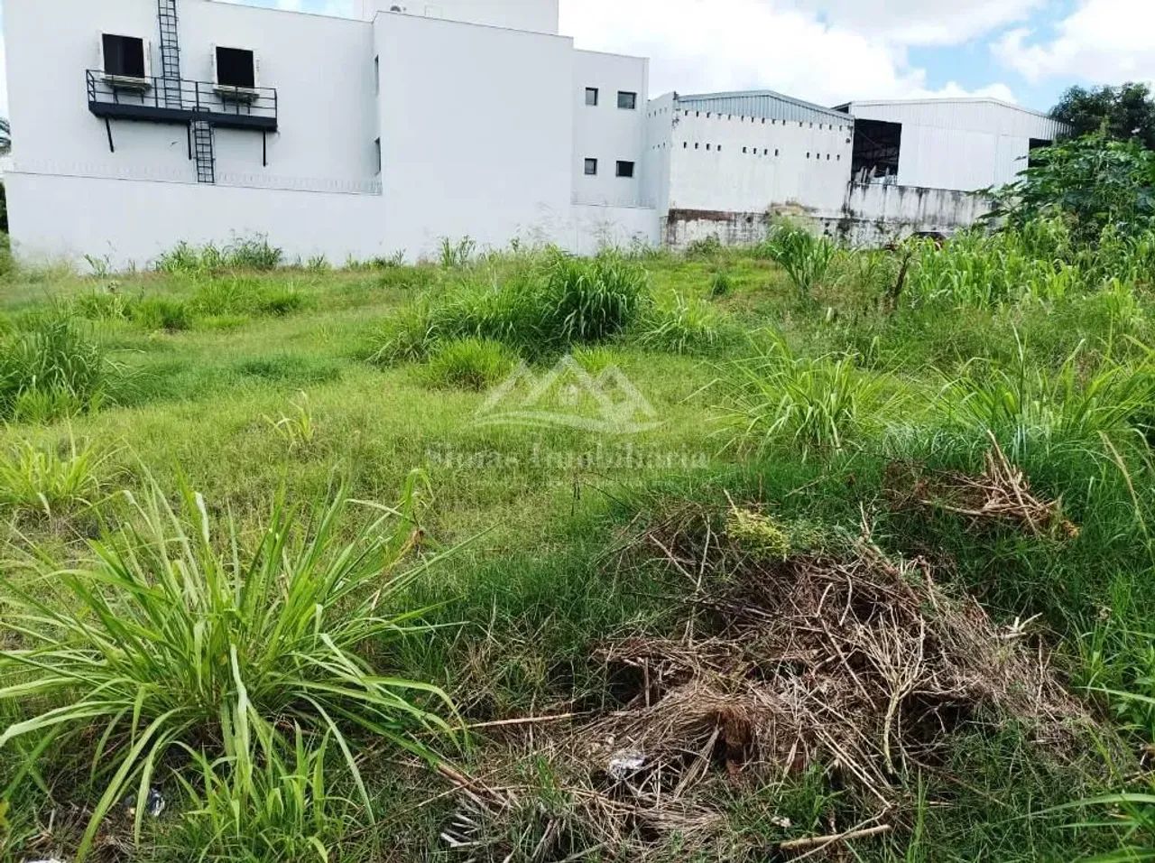 Lote para Venda em Patos de Minas, Caiçaras - Foto 4