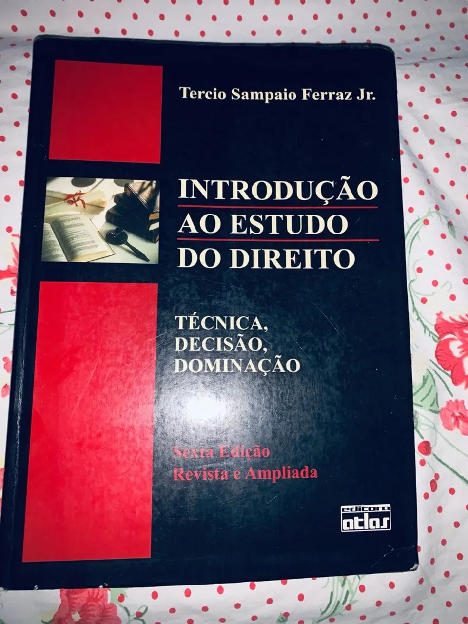 Introdução ao estudo do direito - Tercio Sampaio Ferraz Jr.